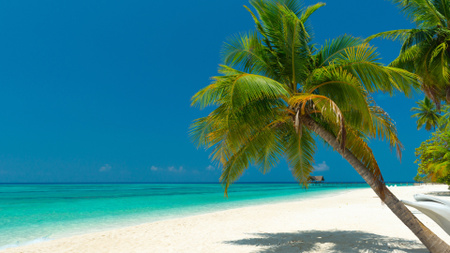 Plantilla de diseño de Playa de verano y paisaje marino en azul Zoom Background 