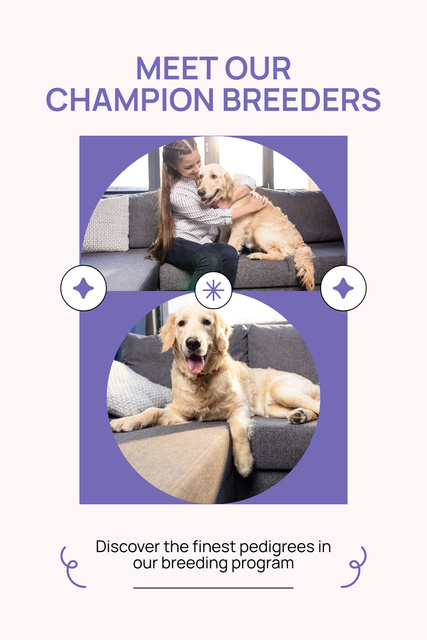 Meet Our Champion Pets Pinterestデザインテンプレート