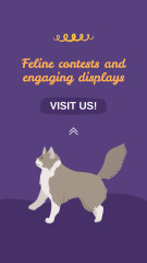 Feline Contests And Festivities In March