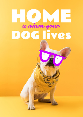 Cute Phrase with Funny Dog in Glasses Poster A3 – шаблон для дизайну