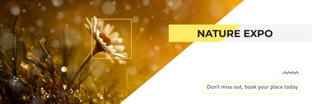 Nature Expo Announcement Blooming Daisy Flower Twitter – шаблон для дизайна