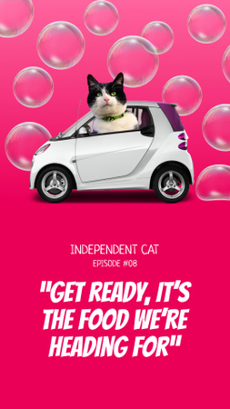 Funny Cat in car riding in bubbles Instagram Story Design Template