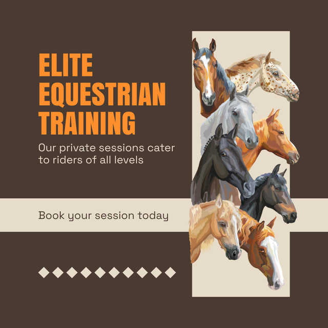 Designvorlage Private Elite Equestrian Training Sessions for All Levels für Instagram