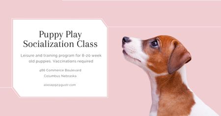 Plantilla de diseño de Puppy play socialization class Facebook AD 