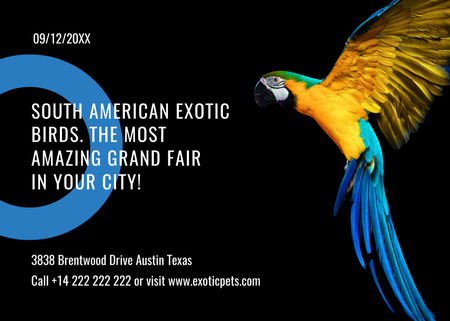 Exotic Birds fair Blue Macaw Parrot Postcard 5x7in Design Template