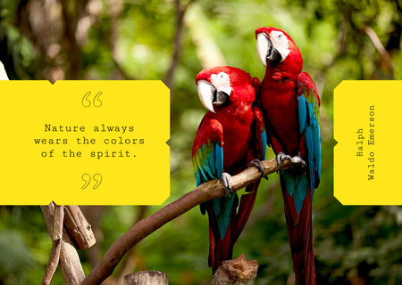 Ara birds in jungle Postcard Design Template