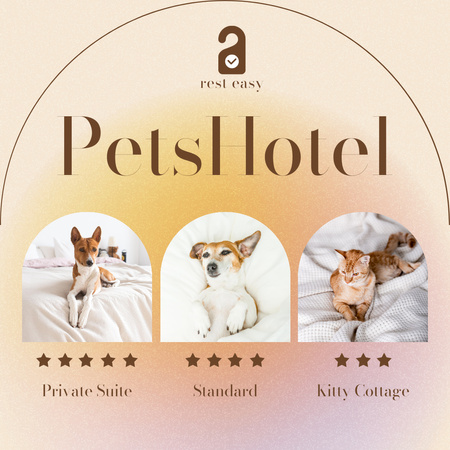 Pet Hotel Promotion Collage Instagram AD Design Template