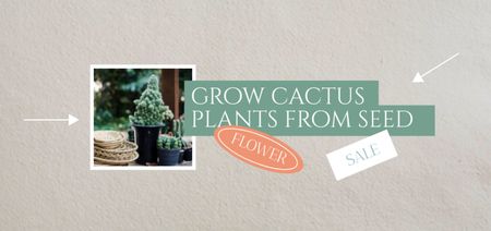 Plantilla de diseño de Cactus Plant Seeds Offer Coupon Din Large 