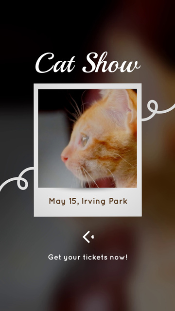 Adorable Cat Show With Ginger Feline TikTok Video – шаблон для дизайну