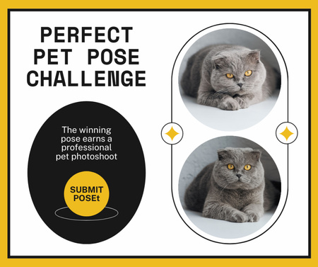 Pets Photo Contest Facebook Design Template