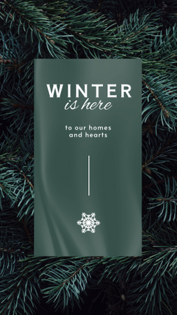 Platilla de diseño Winter Inspiration with Fir Tree Branches Instagram Story