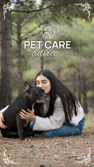 Valuable Pet Care Advice For Dog Owners