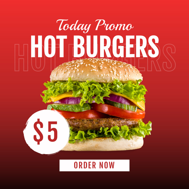 Fast Food Menu Offer with Tasty Burger Instagramデザインテンプレート