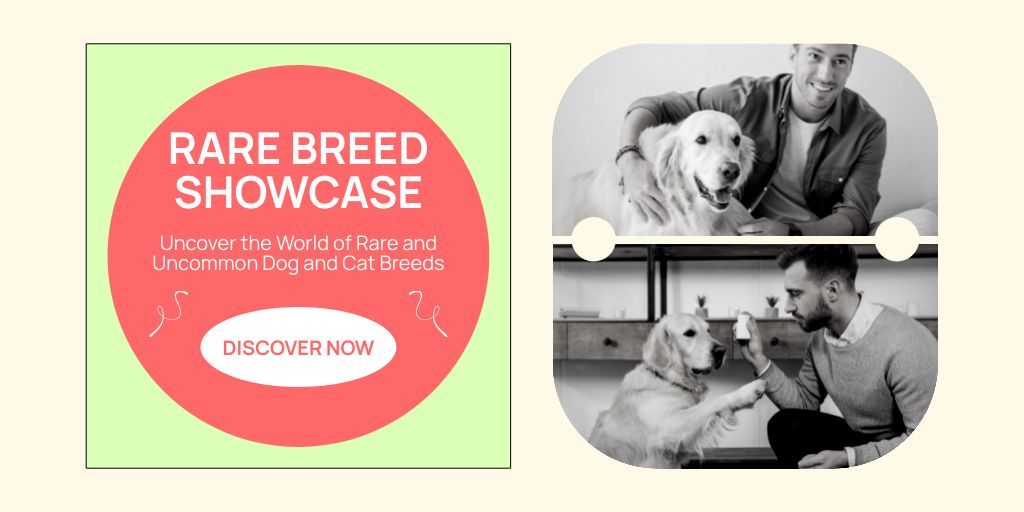 Rare Dog Breeds for Adoption Twitter – шаблон для дизайна