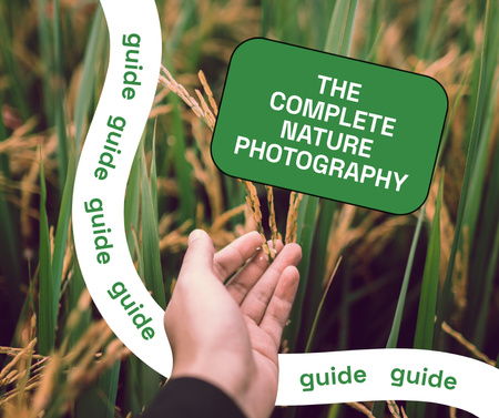 Ontwerpsjabloon van Facebook van Photography Guide with Hand in Wheat Field