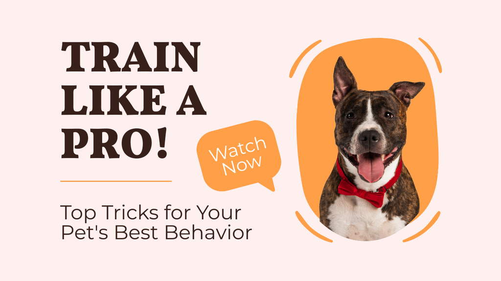 Plantilla de diseño de Best Tips And Tricks For Pet Training From Professional Youtube Thumbnail 