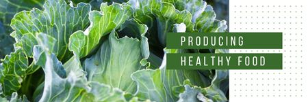 Healthy Food with Green Cabbage Email header Design Template