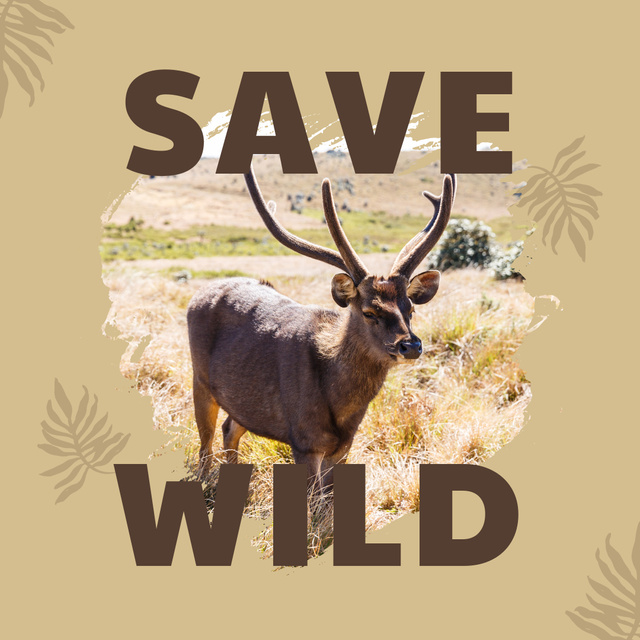 Ontwerpsjabloon van Instagram van Call for Ecological Preservation with Wild Deer