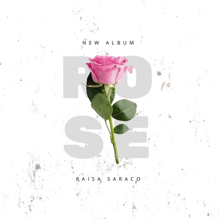 Beautiful Pink Rose Album Cover Tasarım Şablonu