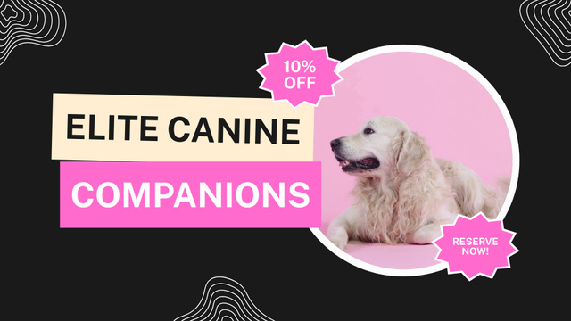 Elite Canine Companions at Discount Full HD video Πρότυπο σχεδίασης