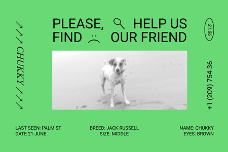 Vivid Green Ad about Missing Dog Flyer 4x6in Horizontal – шаблон для дизайна