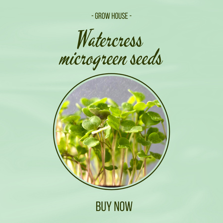 Designvorlage Microgreen Seeds Offer für Instagram