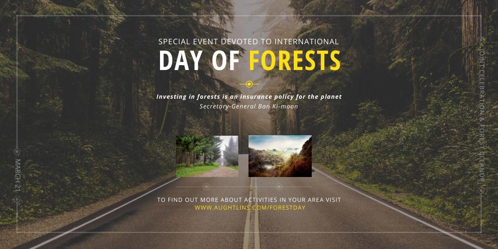 Designvorlage International Day of Forests Event with Forest Road View für Twitter
