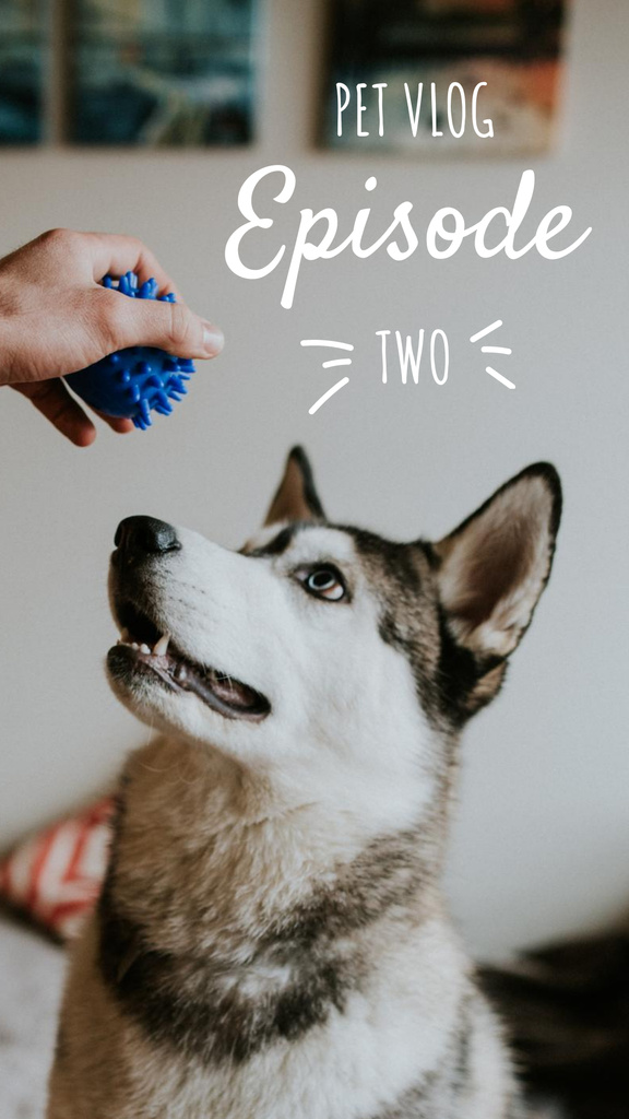 Pet Vlog Ad with Cute Dog Instagram Story – шаблон для дизайна