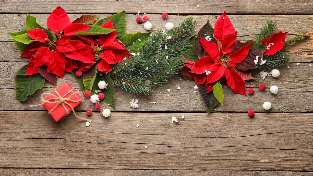 Festive Christmas Garland with Red Flowers Zoom Background Modelo de Design