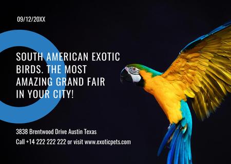 Designvorlage Exotischer Vogel fairer blauer Ara-Papagei für Postcard