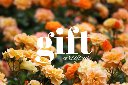 Güzel Sarı Güllerle Özel Fırsat Gift Certificate Tasarım Şablonu