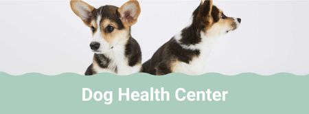 Dog health center with cute Corgi Puppies Facebook cover Design Template