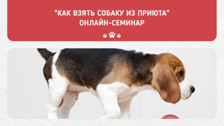 Puppy socialization class with Dog FB event cover tervezősablon