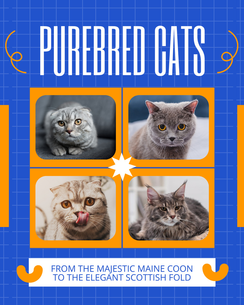 Information on Various Purebred Cat Breeds Instagram Post Vertical Šablona návrhu
