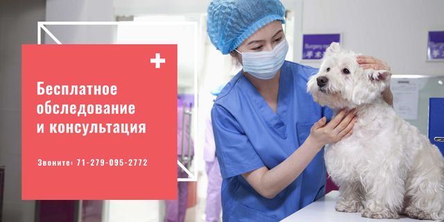 Dog in Animal Hospital Twitter – шаблон для дизайну