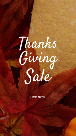 Platilla de diseño Thanksgiving sale offer on Pumpkins Instagram Story