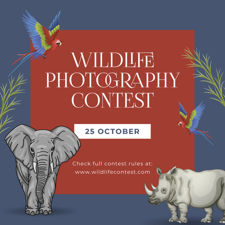 Modèle de visuel Concours de photographie animalière - Instagram