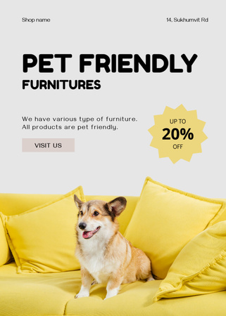 Pet Friendly Furniture Discount Flayer Design Template