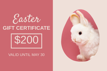 Easter Promotion with Easter Rabbit in Egg Shape Frame Gift Certificate Design Template