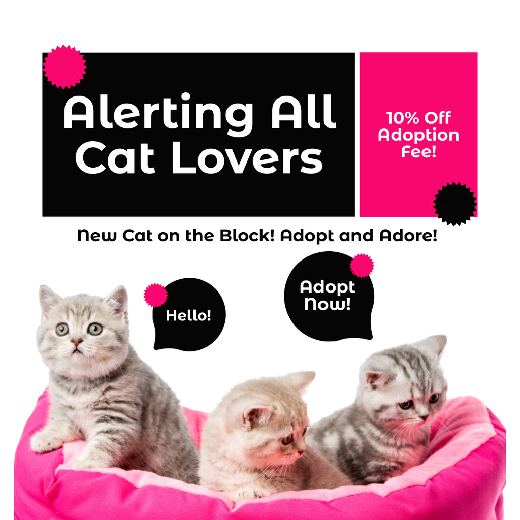 Sweet Kittens Sale Alert on Black and Purple Instagram Modelo de Design