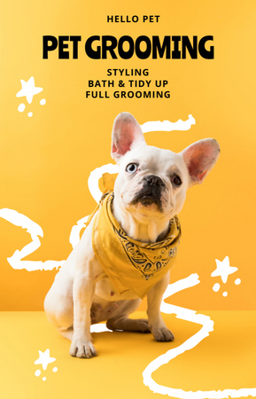 Предложение по уходу за домашними животными на желтом IGTV Cover – шаблон для дизайна