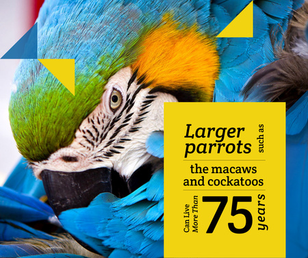 Plantilla de diseño de Exotic Birds guide Blue Macaw Parrot Facebook 