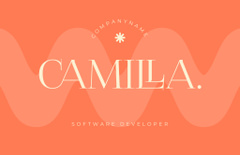 Software Developer Services Ad