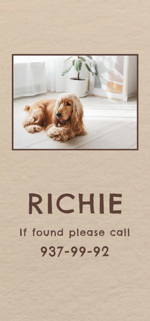 Lost Dog Information with Cute Cocker Spaniel Flyer DIN Large Design Template