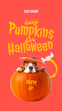 Designvorlage Lustiger Hund in Halloweens Kürbis für Instagram Story