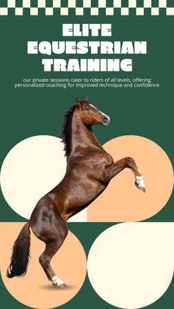 Top-Notch Horse Riding Training Offer With Coach Instagram Story Design Template