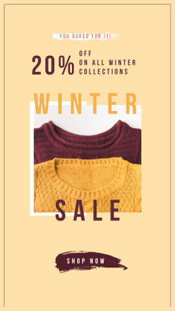 Female Fashion Winter Clothes Sale Instagram Story Design Template