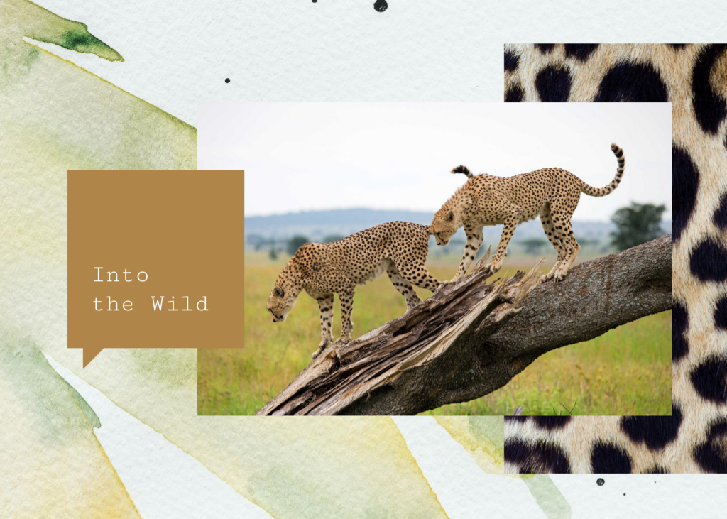 Wild Cheetahs In Natural Habitat Postcard 5x7in Šablona návrhu