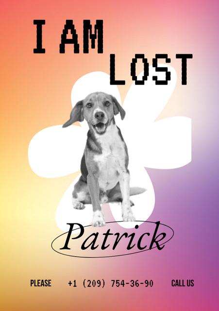Announcement about Missing Dog Patrick Flyer A5デザインテンプレート