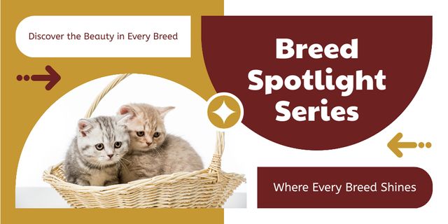 Sweet Purebred Kittens for Adoption Twitterデザインテンプレート